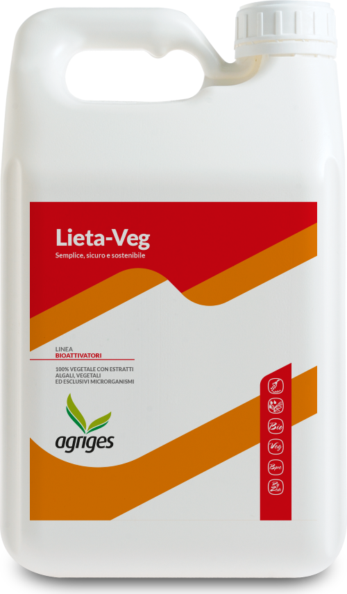 Lieta-Veg