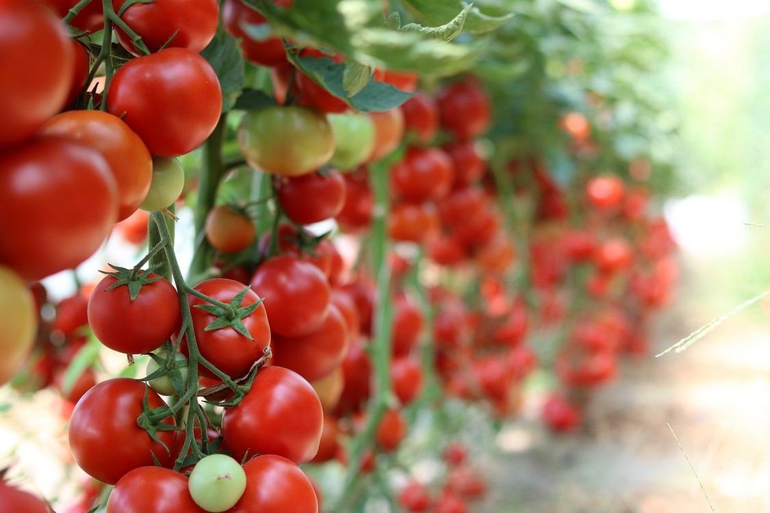 ¡Desde NATURA una ayuda para producciones de CALIDAD!