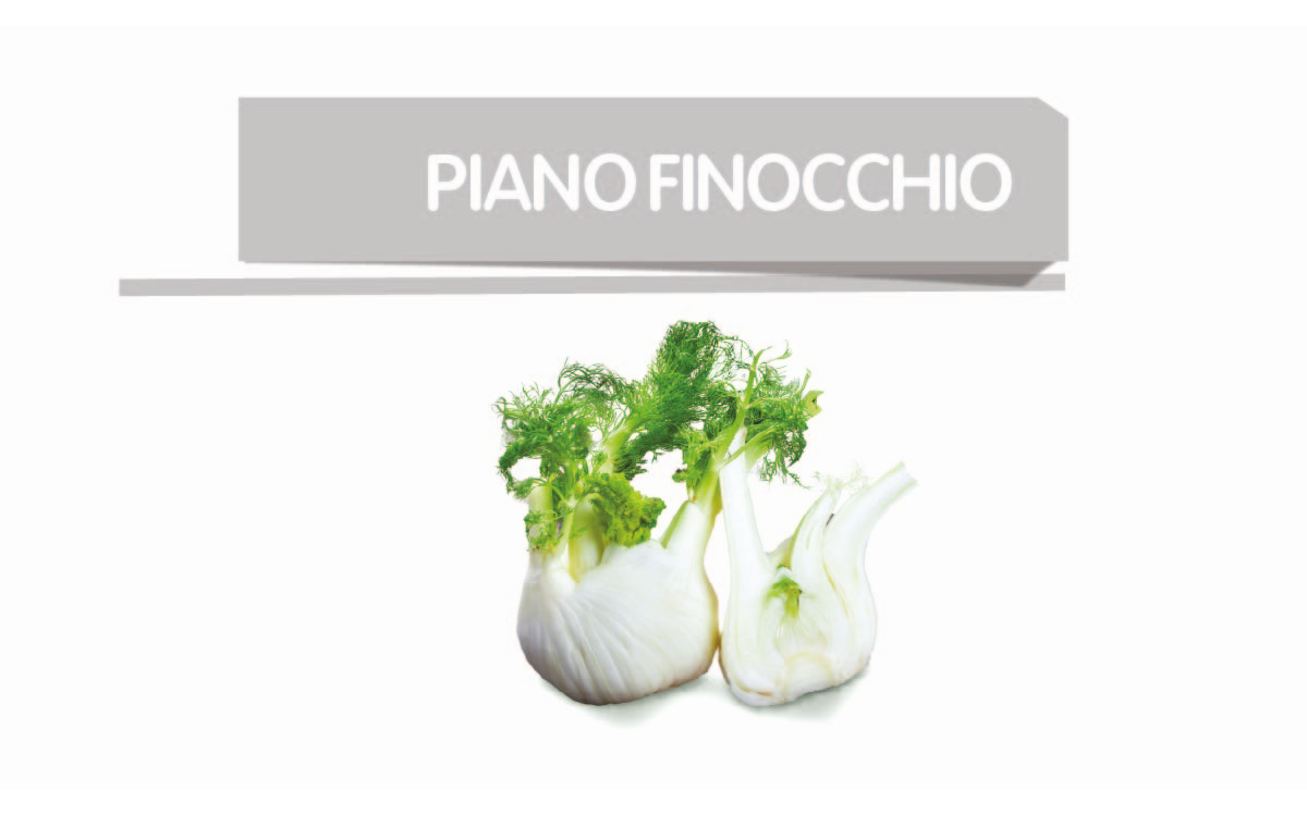 Finocchio