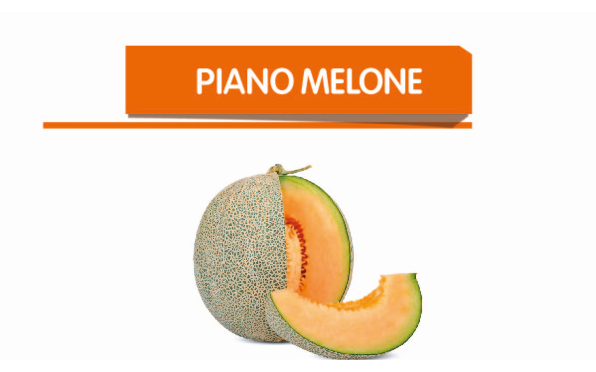 Melone