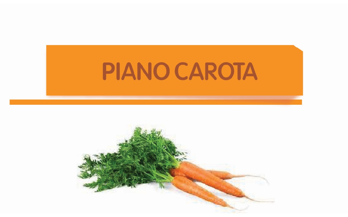 Carota