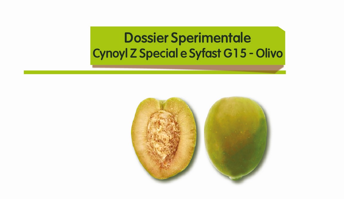 Cynoyl Z Special e Syfast g 15 - Olivo