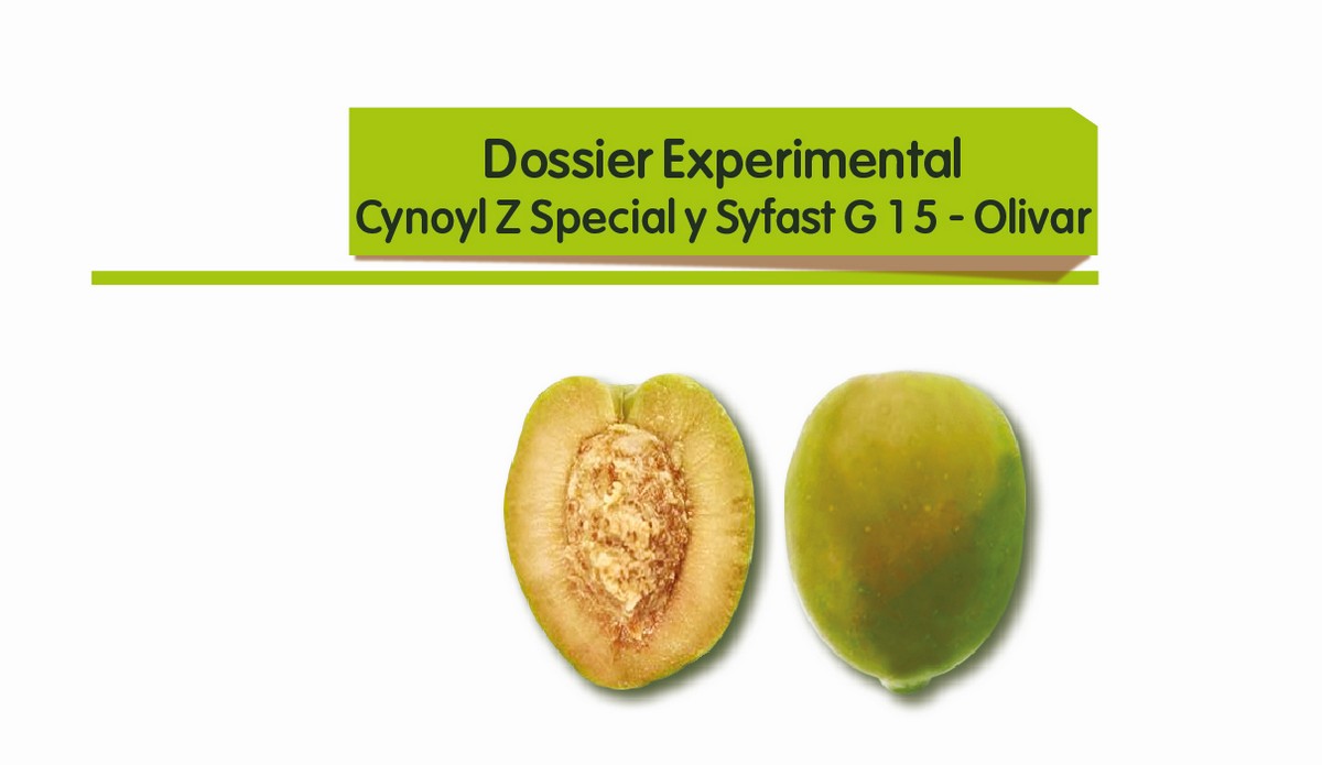 Cynoyl Z Special e Syfast g 15 - Olivar
