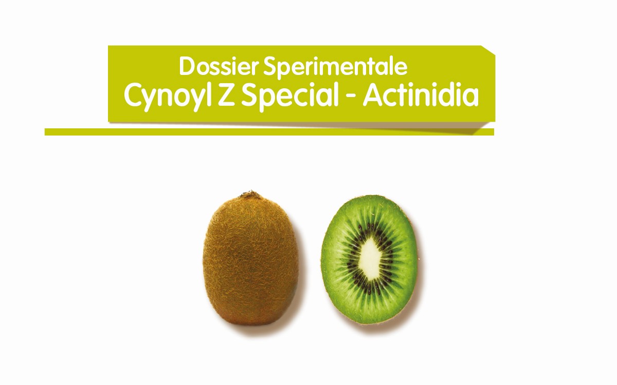 Cynoyl Z Special - Actinidia