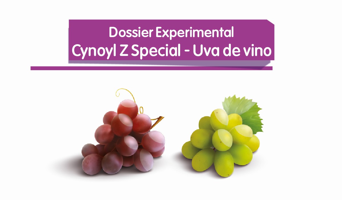 Cynoyl Z Special - Uva de vino