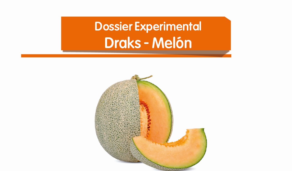 Draks - Melón