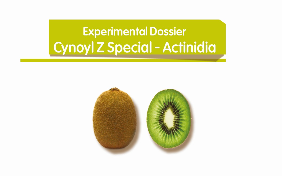 Cynoyl Z Special - Actinidia