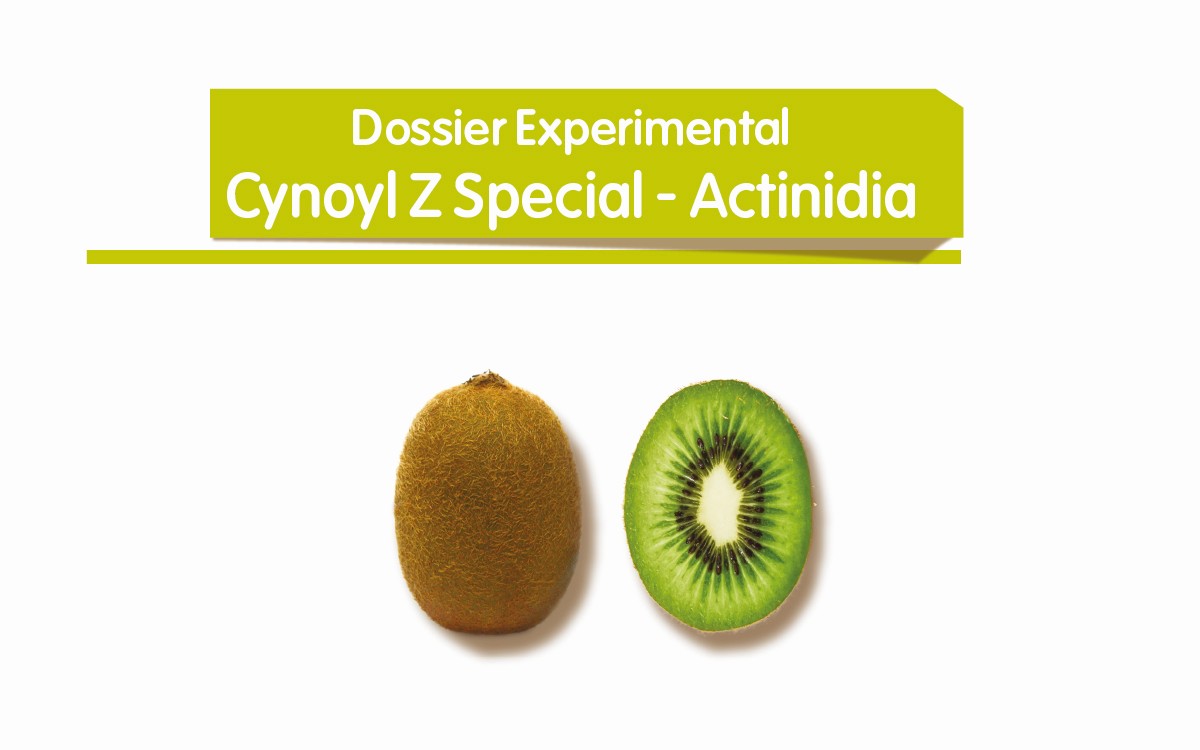 Cynoyl Z Special - Actinidia