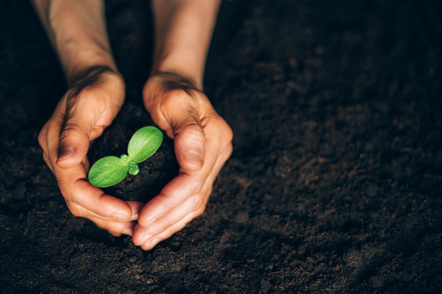 Buystar Flow: nutrizione potenziata per radici più forti e raccolti migliori