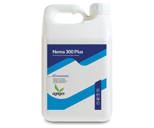 NEMA 300 PLUS