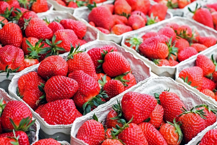 Strawberries: it's time for transplants, how to make the difference!