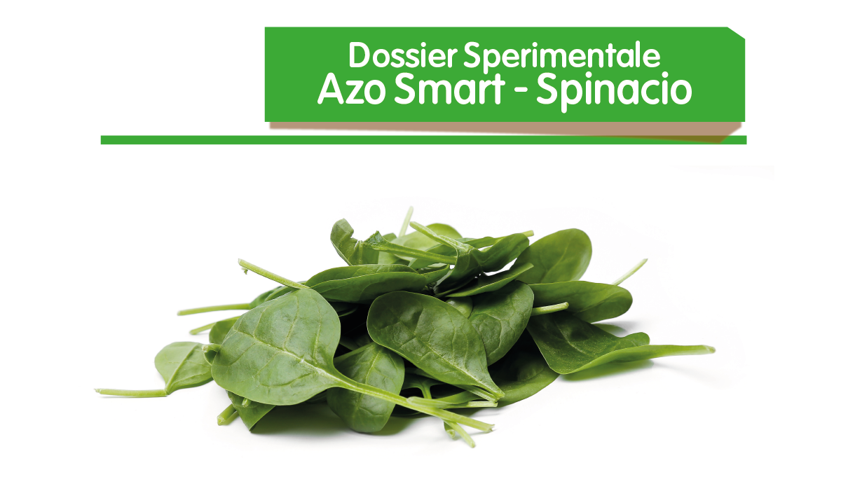 Azo Smart - Spinacio