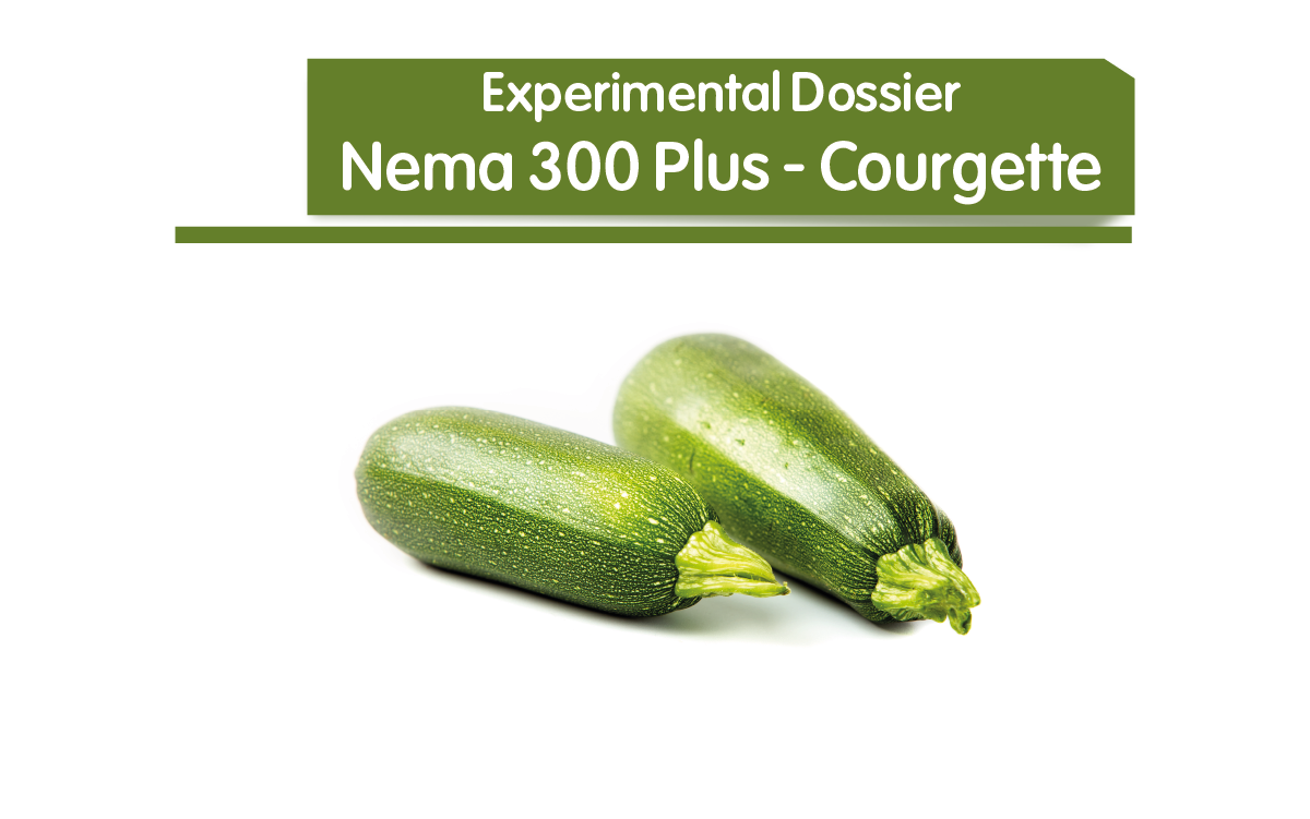 Nema 300 Plus - Courgette