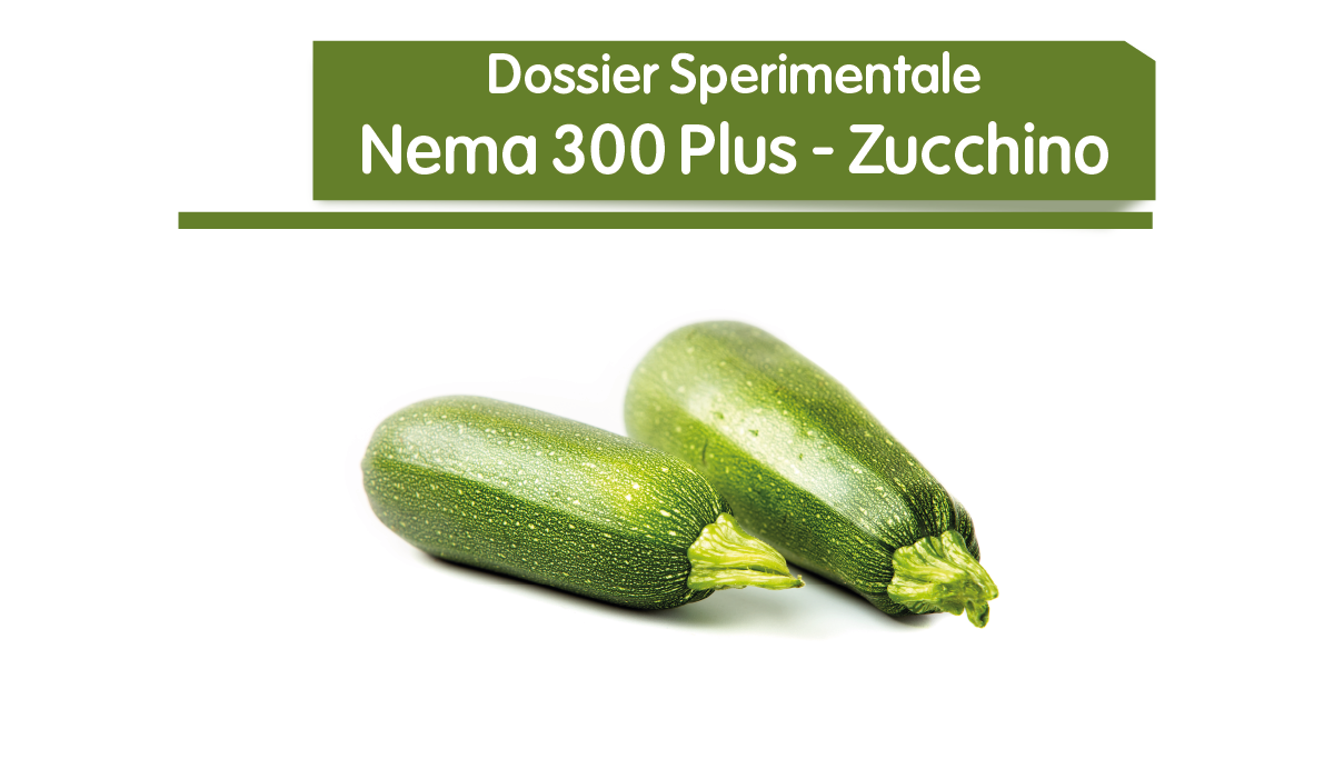 Nema 300 Plus - Zucchino