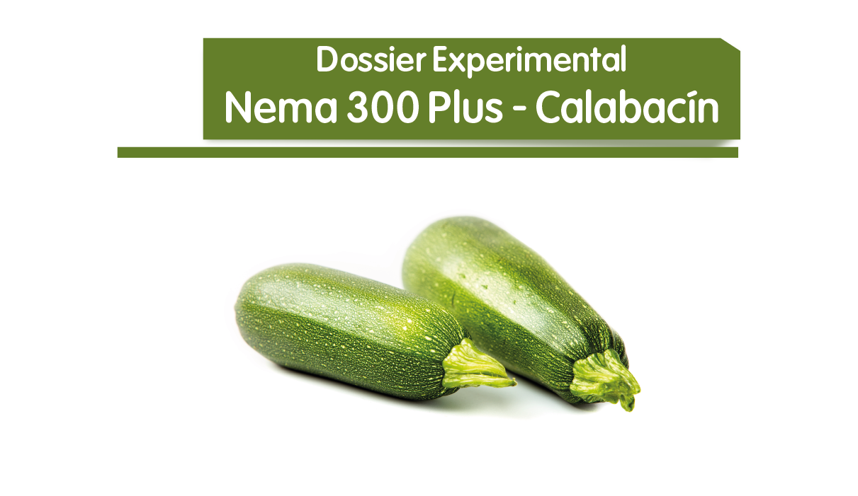 Nema 300 Plus - Calabacín