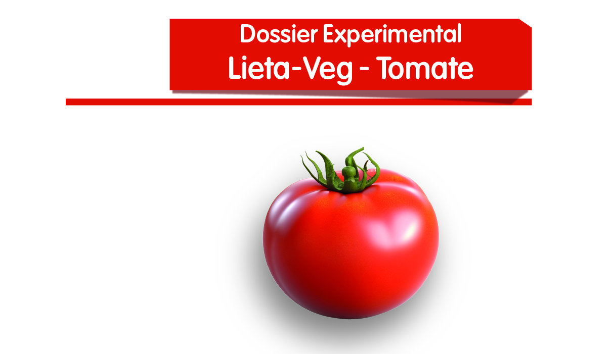 Lieta-Veg - Tomate
