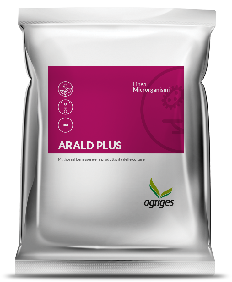 ARALD PLUS