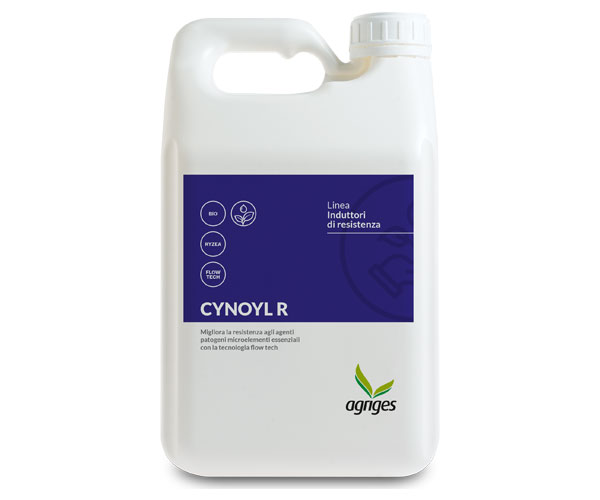 CYNOYL R