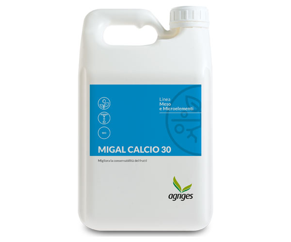 MIGAL CALCIO 30