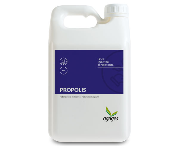 PROPOLIS