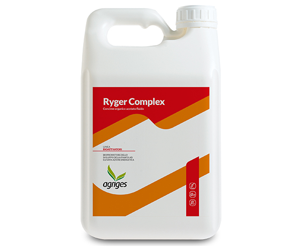 RYGER COMPLEX