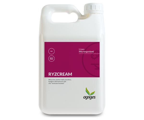 RYZCREAM
