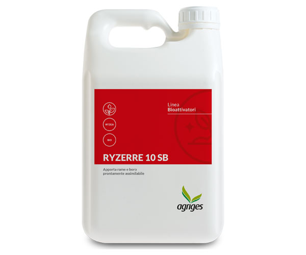 RYZERRE 10 SB 
