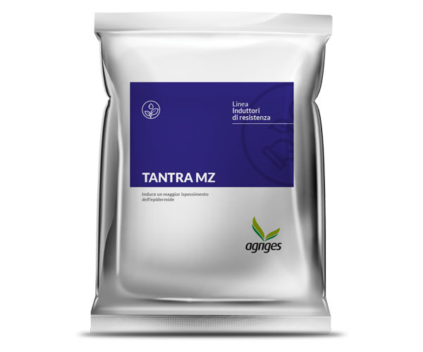 TANTRA MZ