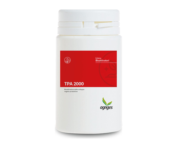 TPA 2000